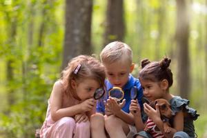 Niños en una búsqueda del tesoro en el bosque