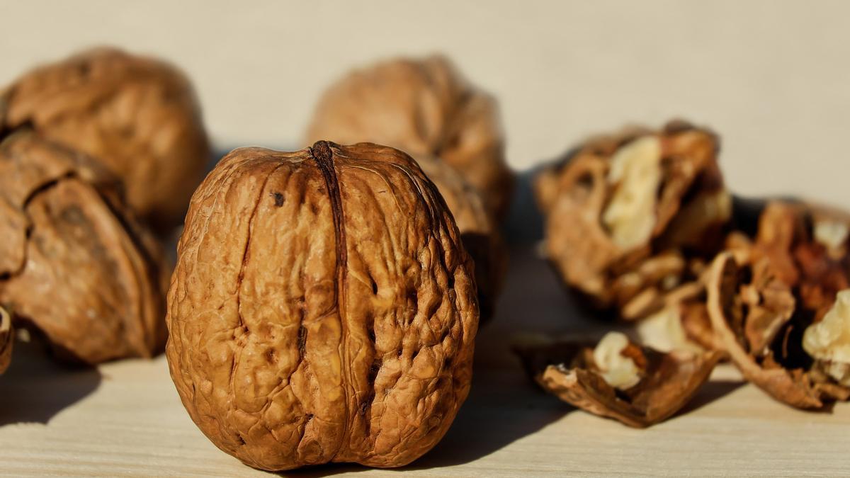 Los frutos secos, y en concreto las nueces, benefician la salud del cerebro.