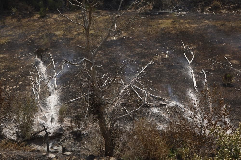 Incendio en los montes de León