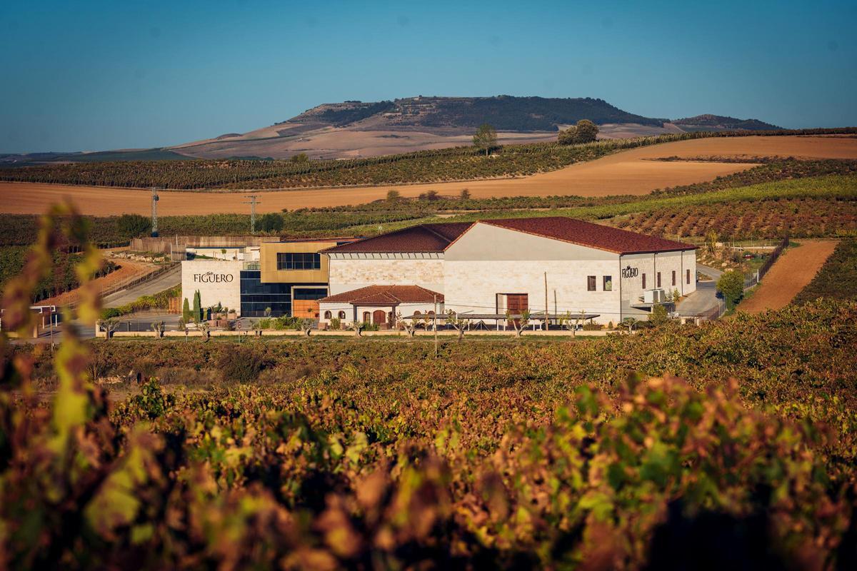 Bodega Figuero.