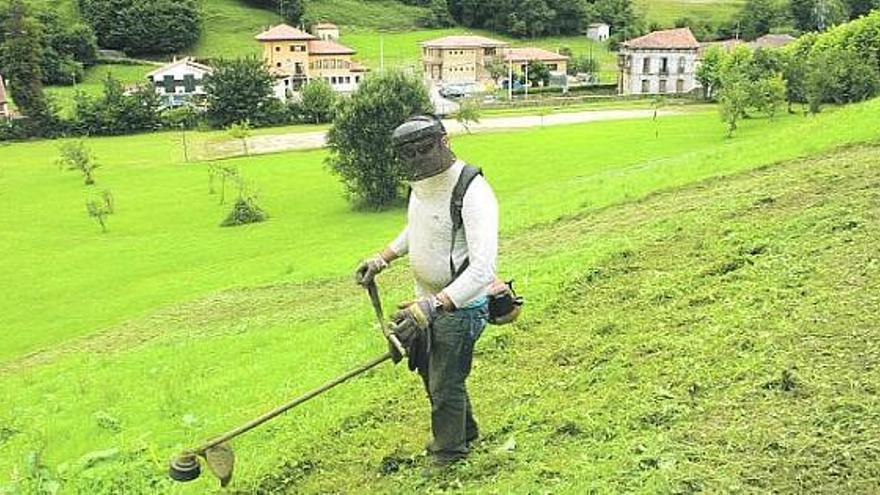 la identidad. El concejo yerbato fue el primero de Asturias en declarar oficial la llingua asturiana, en un Pleno celebrado el 4 de julio de 1997. Todos los años se conmemora aquella fecha en la Fiesta de la oficialidá. En la imagen, una camiseta conmemorativa del décimo aniversario de aquella declaración de oficialidad  en Bimenes cuelga de un cristal en la Casa de Cultura de San Julián, con Iris González Roces, trabajando, detrás. / miki lópez