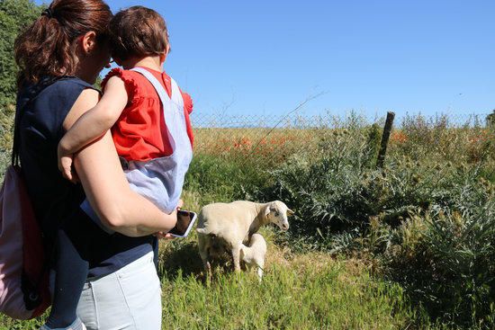 Visitants a Oli de Ventalló durant les jornades de