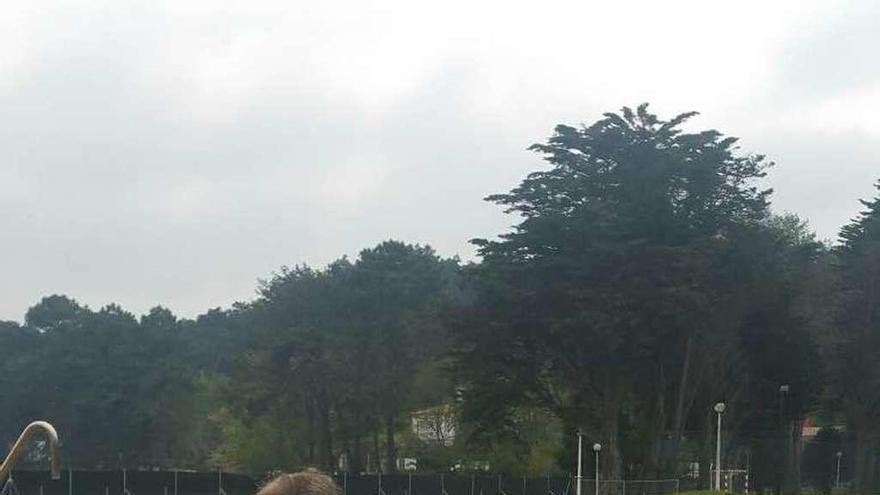 Javier Basagoiti ante la piscina del Beach Club. // FDV