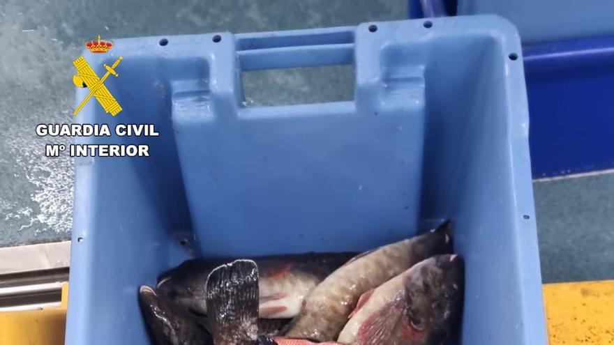 Incautados 36 kilos de pescado a un pescador recreativo en Fuerteventura