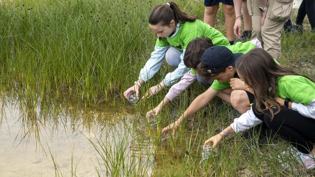 Els menuts durant la solta d’ofegabous.