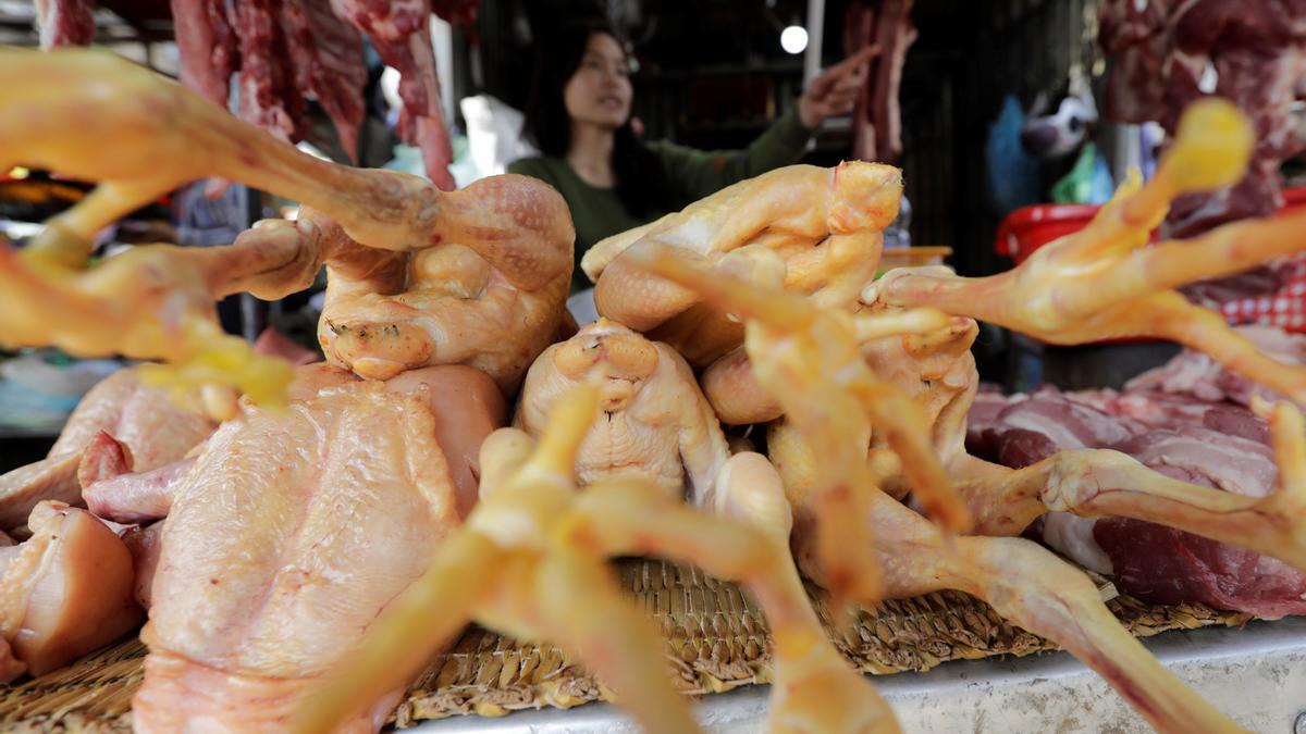 China detecta el primer caso de gripe aviar en humanos