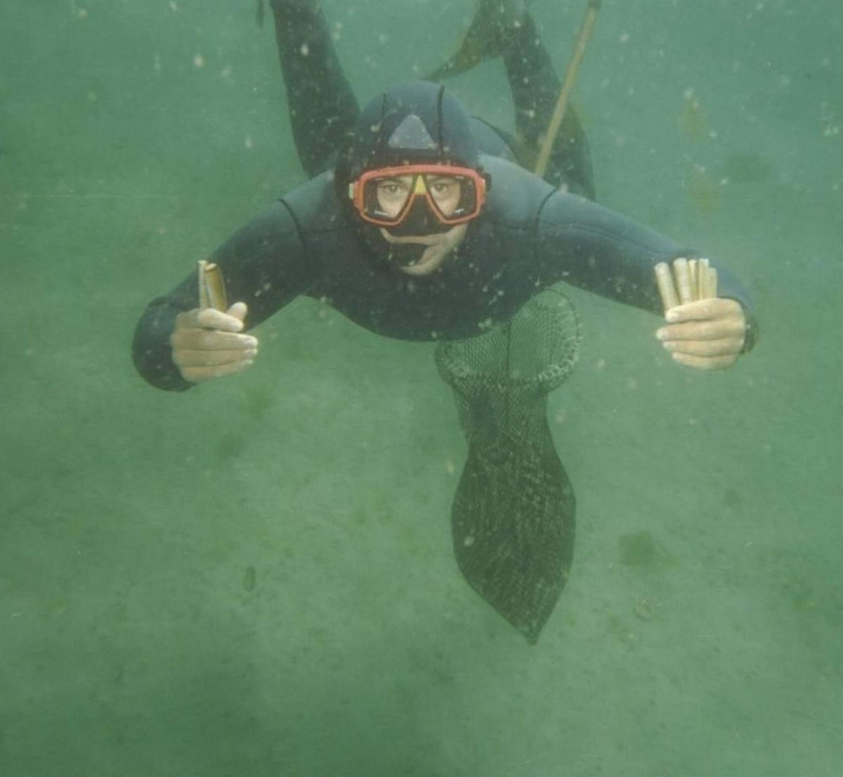 Un momento
de la extracción
de las navajas.