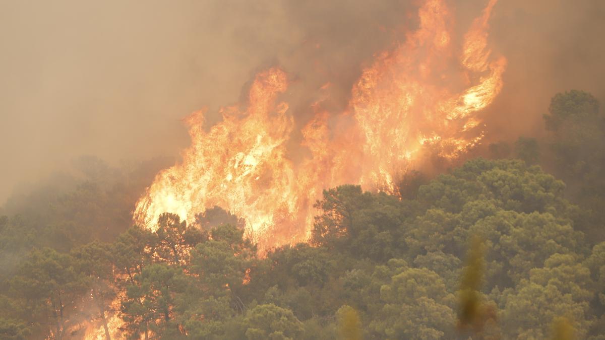 Un incendio en Sierra Bermeja provoca el desalojo de 500 personas