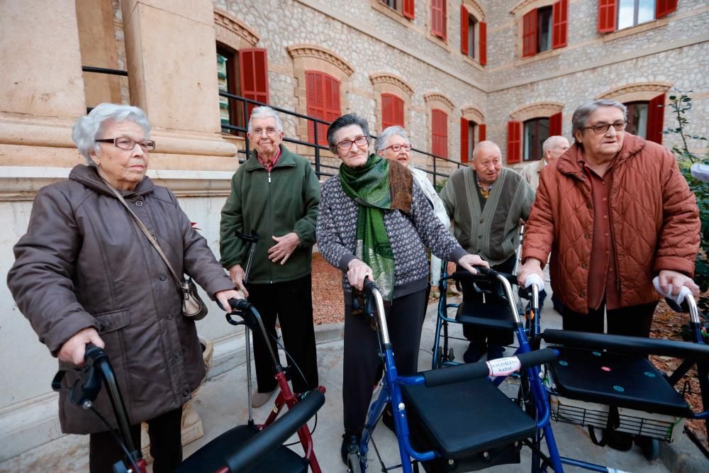 Taxistas de Palma invitan a ancianos a visitar las iluminaciones de Palma