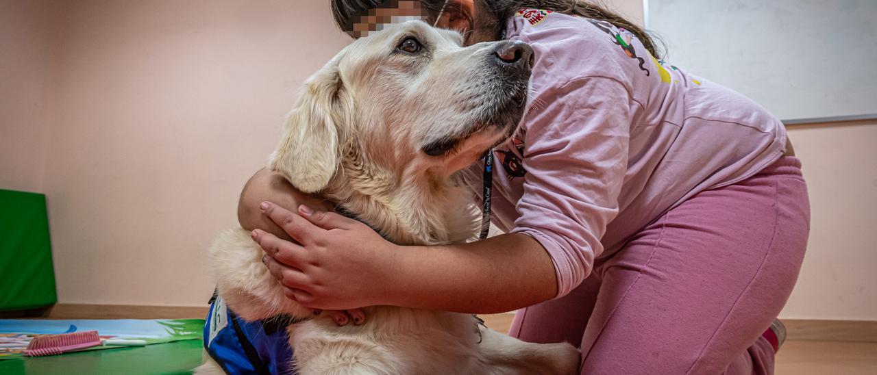 Una niña abraza a un perro de terapia.