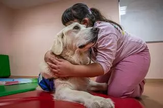 Esto es lo que ocurre en tu cerebro cuando abrazas a tu perro