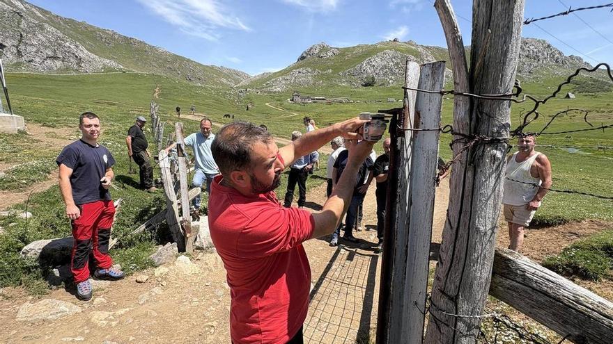 Mieres pierde su última baza legal sobre el Puerto de Pinos mientras los ganaderos descartan Agüeria por las amenazas y la falta de seguridad