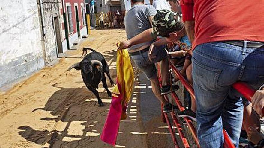 El astado a la carrera bajo la mirada de los aficionados.