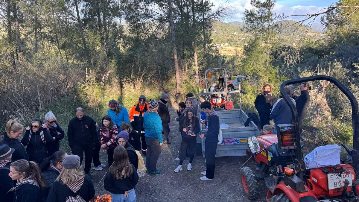 La leña se recoge en la montaña de Son Corp.