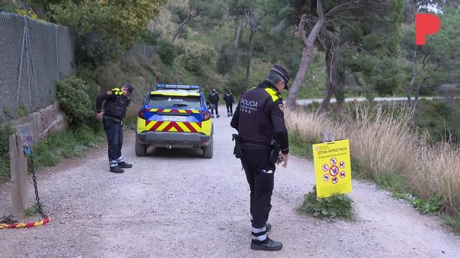 La reapertura de Collserola vuelve a alejarse tras el hallazgo esta semana de otros cinco jabalíes muertos por la peste porcina