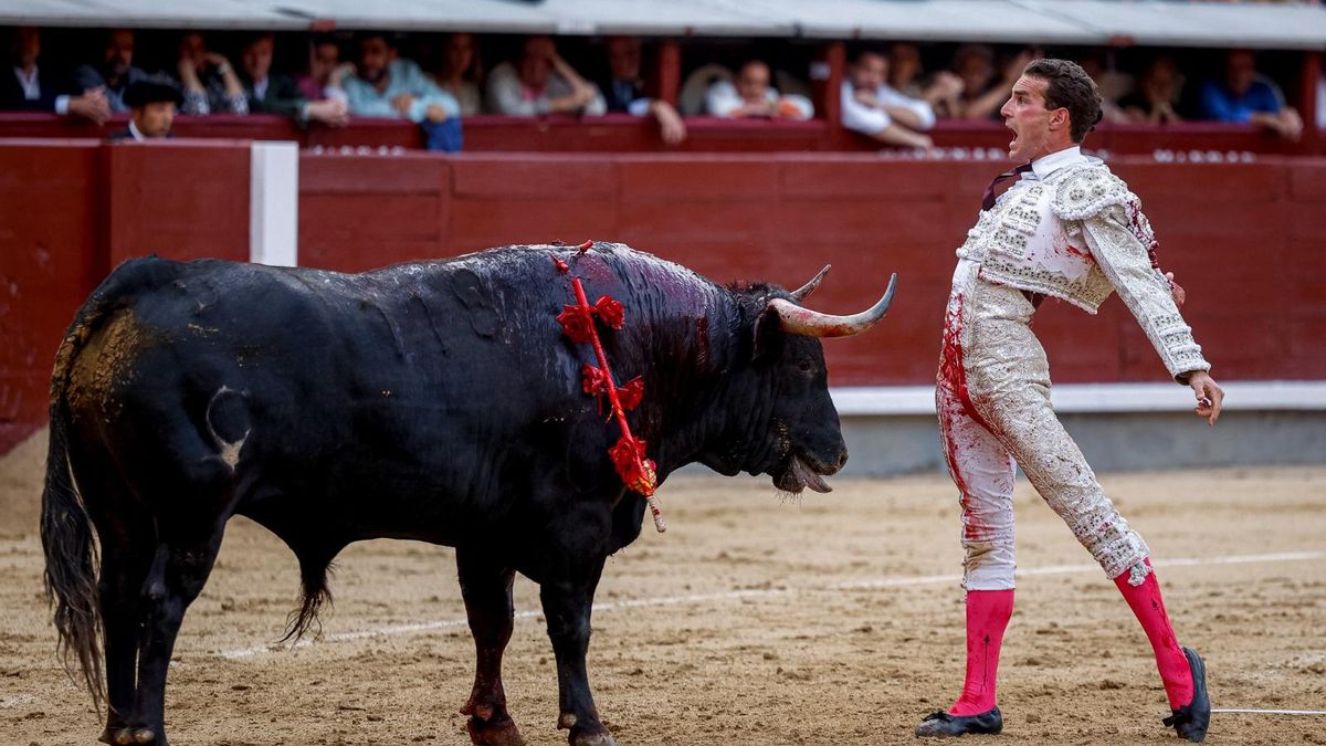 Fernando Adrián, en un desplante ante uno de sus toros en Las Ventas de Madrid, en la Corrida de la Beneficencia.
