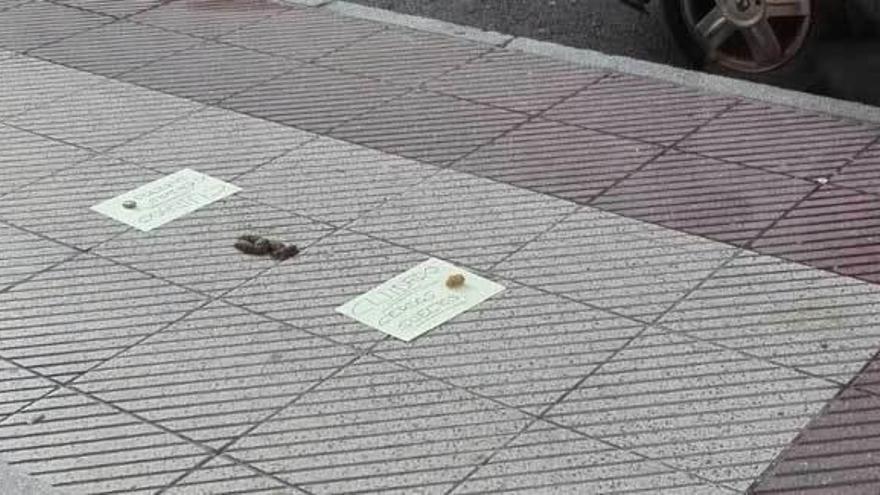 Las heces de perro, en la calle Comandante Vallespín, señalizadas.