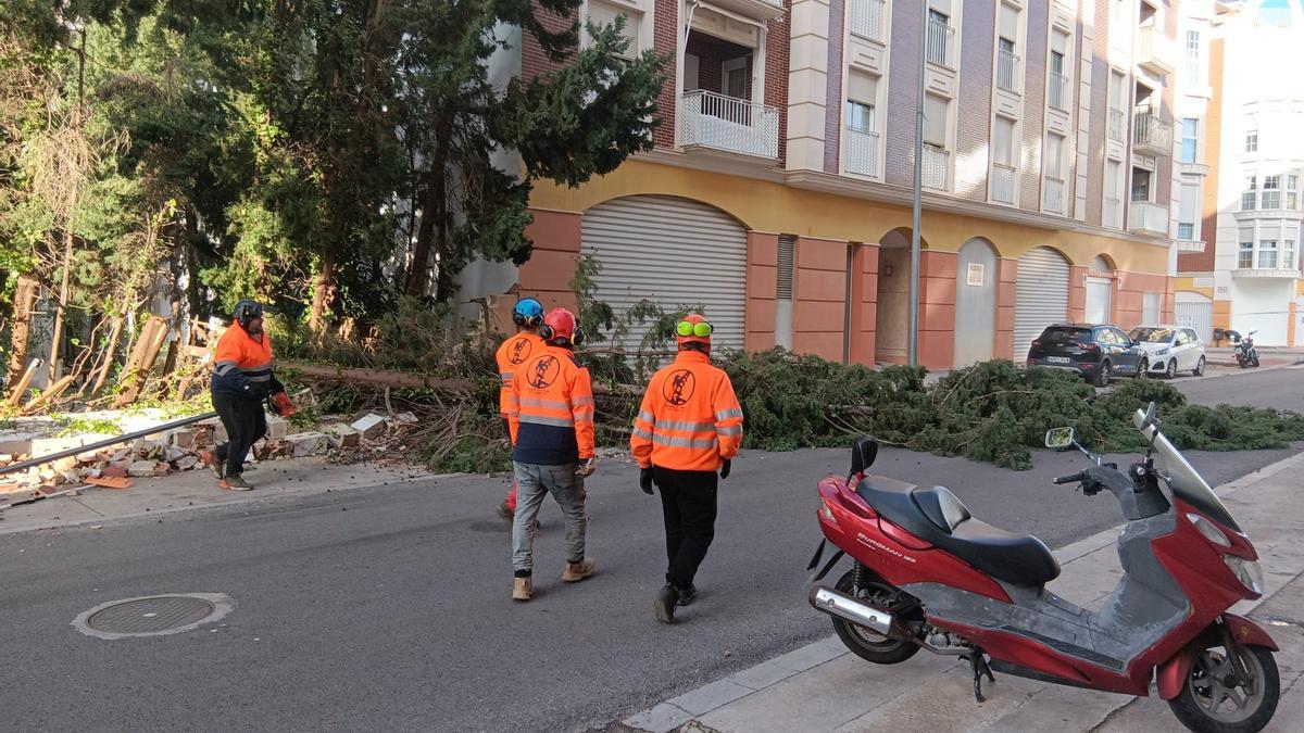 En Xàtiva los servicios de Emergencias se movilizaron por una notable cantidad de avisos por daños generados por el viento.
