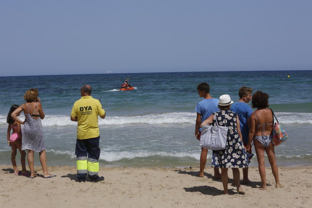 Un tiburón muerde a un bañista en Arenales del Sol