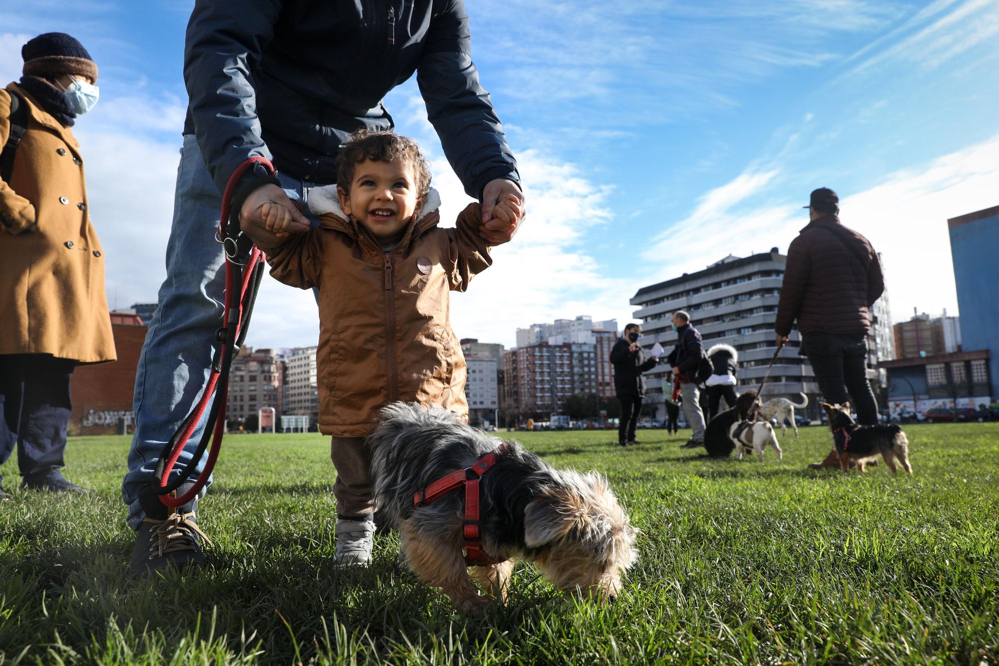 Las zonas para perros, espacios seguros