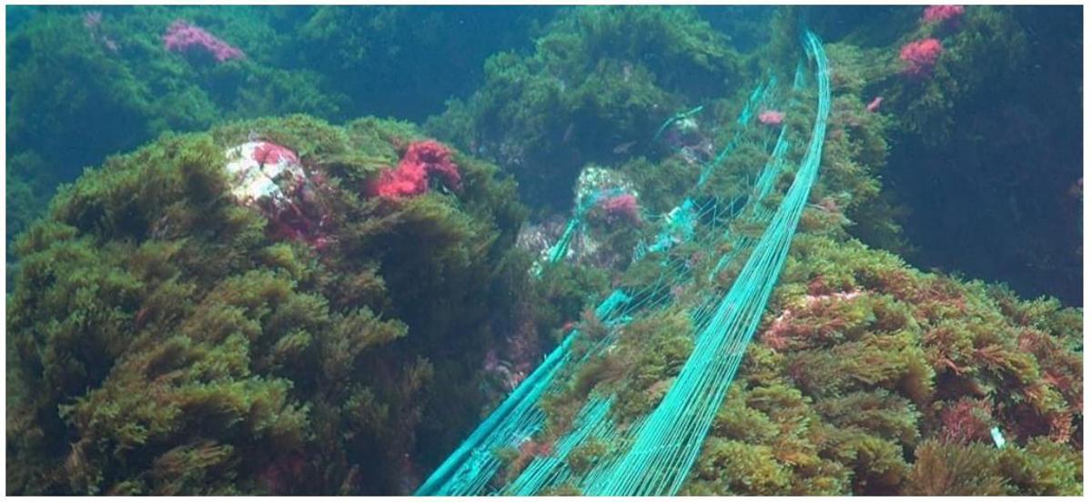 Red de deriva abandonada en el fondo marino