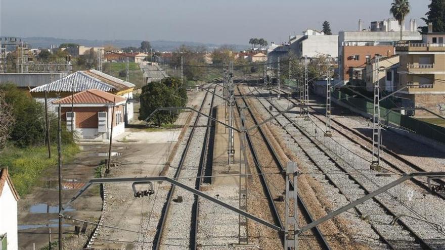 Unos seis trenes sufren demoras tras precipitarse un hombre a la vía en Córdoba