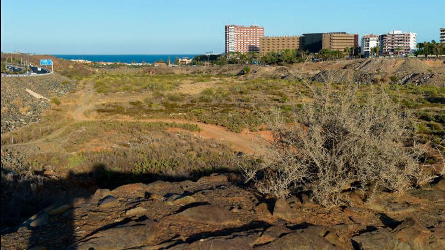 Instantánea del terreno en el que se prevé realizar la construcción del Siam Park en Gran Canaria.