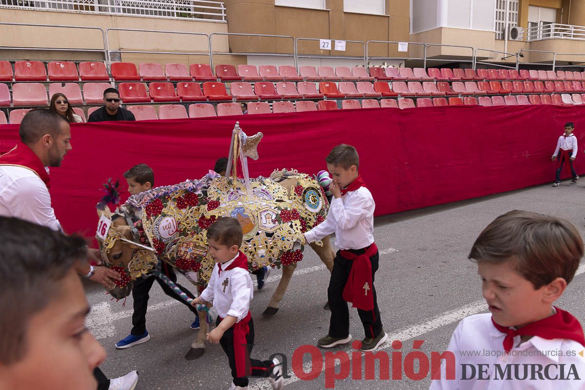 Fiestas de Caravaca | Desfile infantil del Bando de los Caballos del Vino