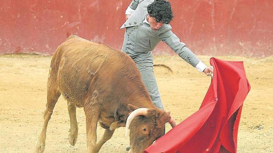 Joselito de Córdoba, triunfador del bolsín taurino de La Carlota