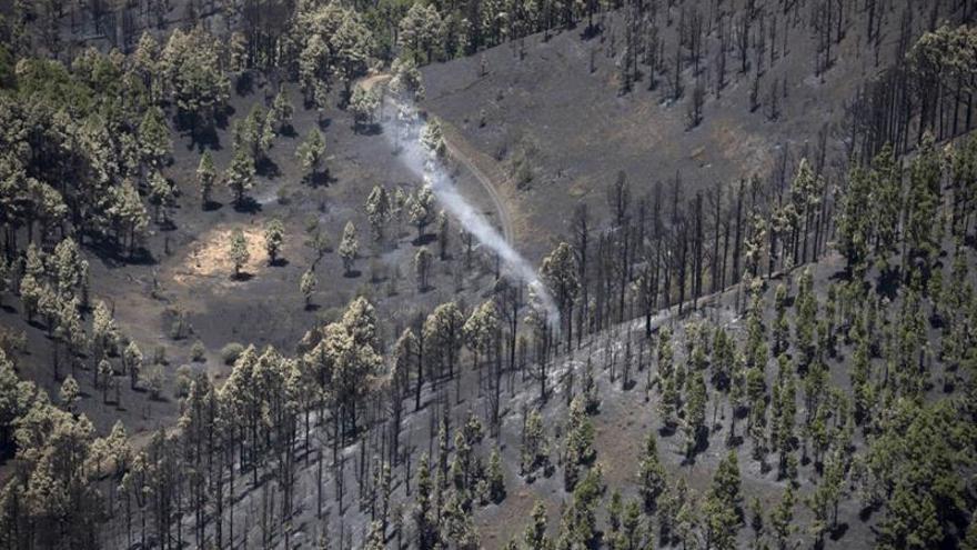 El Gobierno de Canarias declara controlado el incendio de La Palma