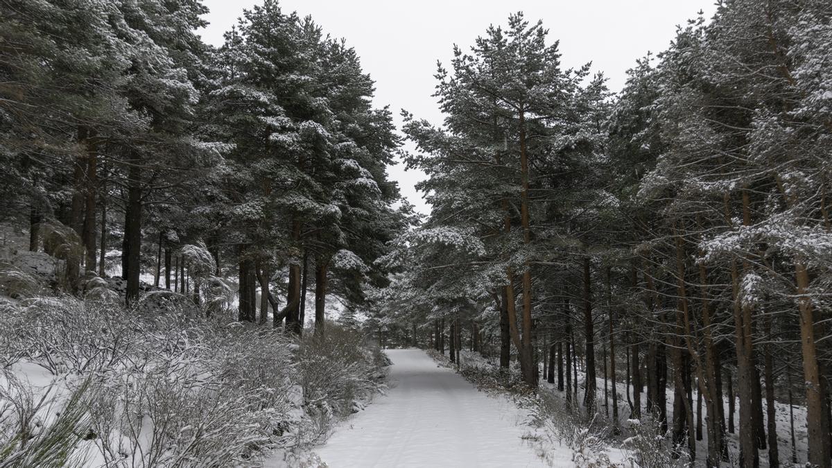 La Nochebuena es blanca en Hervás: la nieve pinta sus paisajes