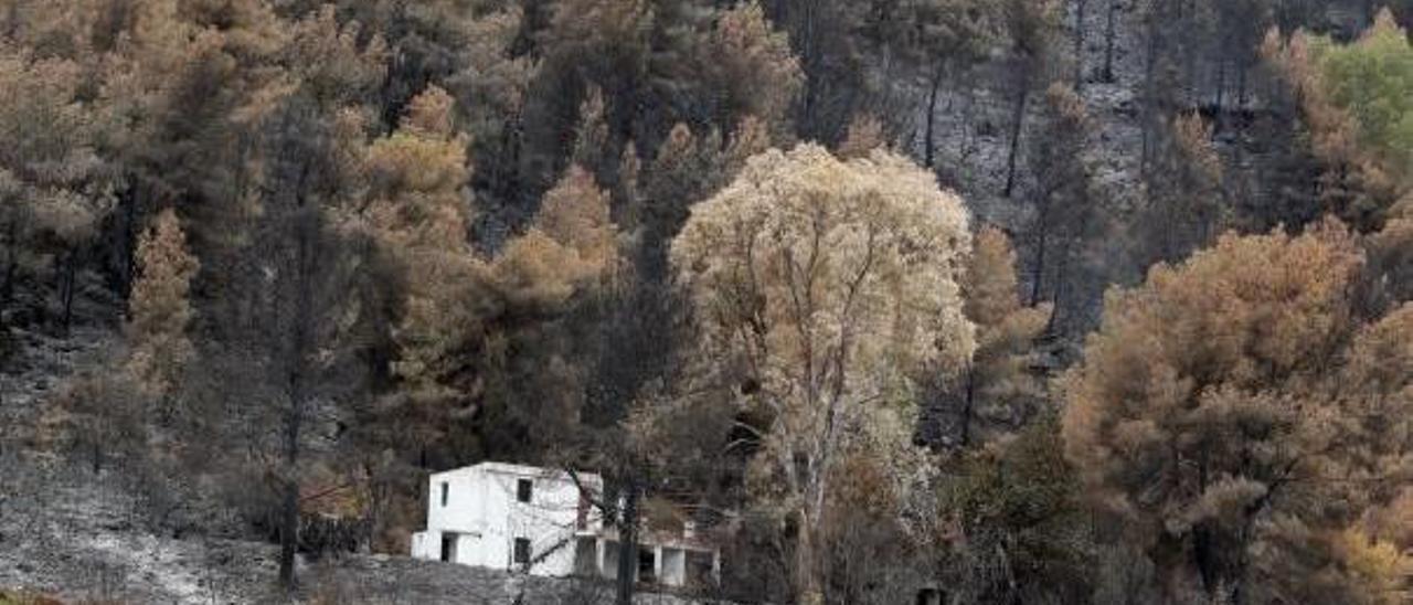 Carcaixent, Rafelguaraf y Alzira sufren más de 250 incendios en sólo 14 años