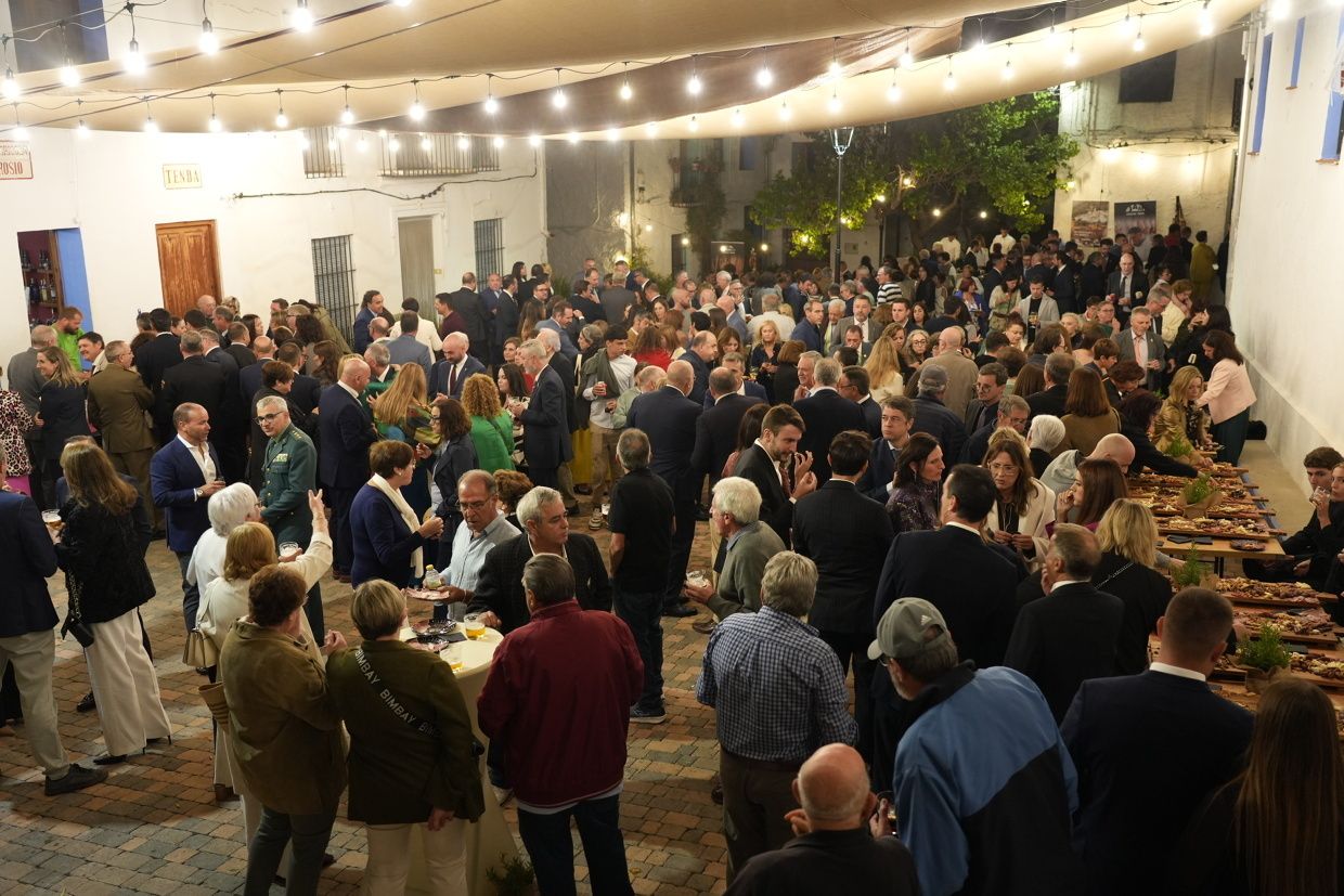 Las imágenes de la gala organizada por la Diputación en el Día de la Provincia