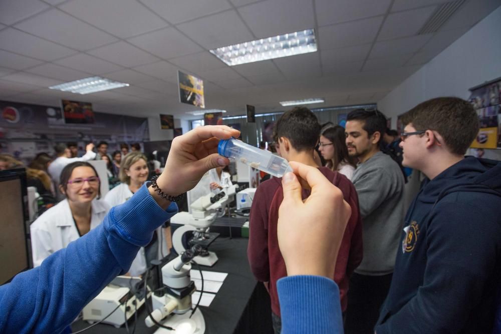 Los investigadores del Instituto de Neurociencias muestran cómo es su trabajo