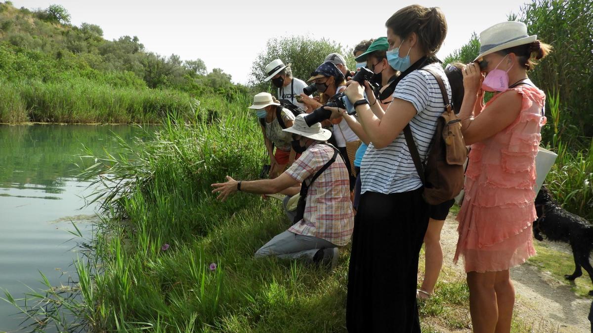 Pego inauguró en mayo dos nuevas rutas para la observación de aves en el Marjal.