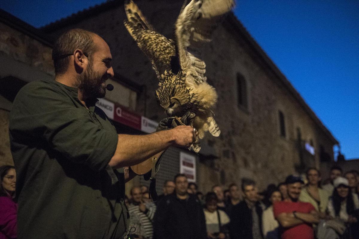 GALERÍA | Así es el Mercado Medieval de Cáceres con el regreso de la cetrería GALERÍA | Así es el Mercado Medieval de Cáceres con el regreso de la cetrería