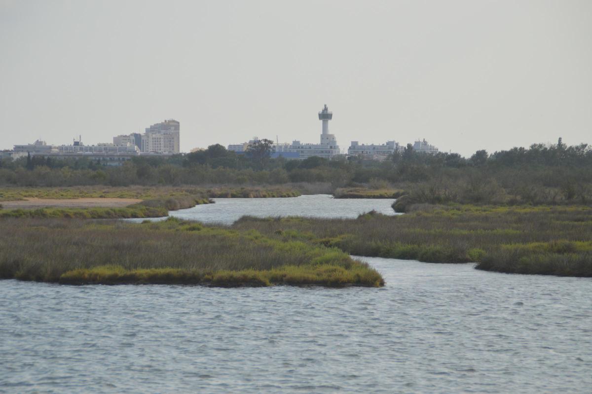 La Rubina amb Empuriabrava al fons, vista des del Grau de Santa Margarida