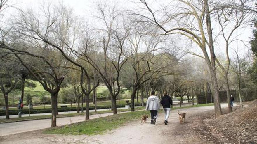 El TSJEx cuantifica en 2 millones los intereses a pagar por el Ayuntamiento de Cáceres