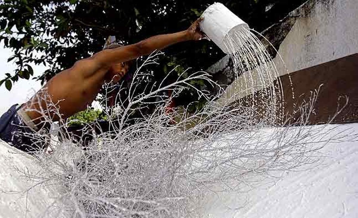 Un jove filipí pinta branques d’un arbre de Nadal en un suburbi de Manila (Filipines).