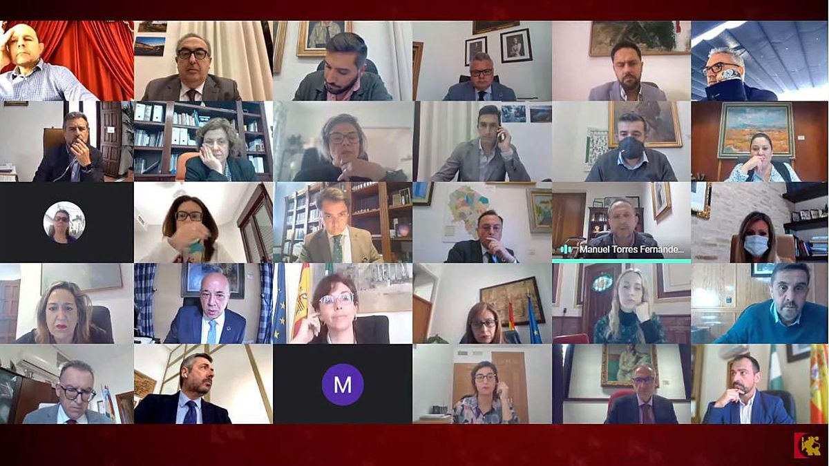 Pleno ordinario de la Diputación de marzo del 2021