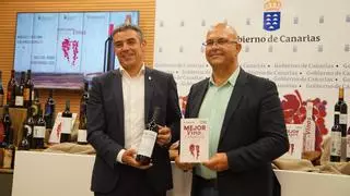 Brumas de Ayosa Tinto, de la DOP Valle de Güímar, elegido como Mejor Vino de Canarias 2025