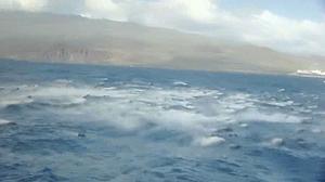 Els veïns d’El Hierro estan més tranquils, perquè els moviments sísmics han disminuït.