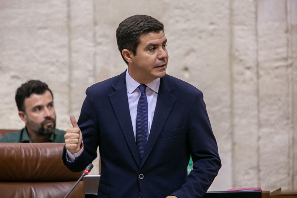 ..Segunda jornada del Pleno del Parlamento andaluz