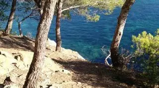 Roses rehabilitarà el camí de ronda des de Punta Falconera a Cala Montjoi