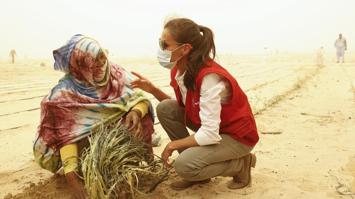 La reina Letizia visita los huertos del desierto en plena tormenta de arena.