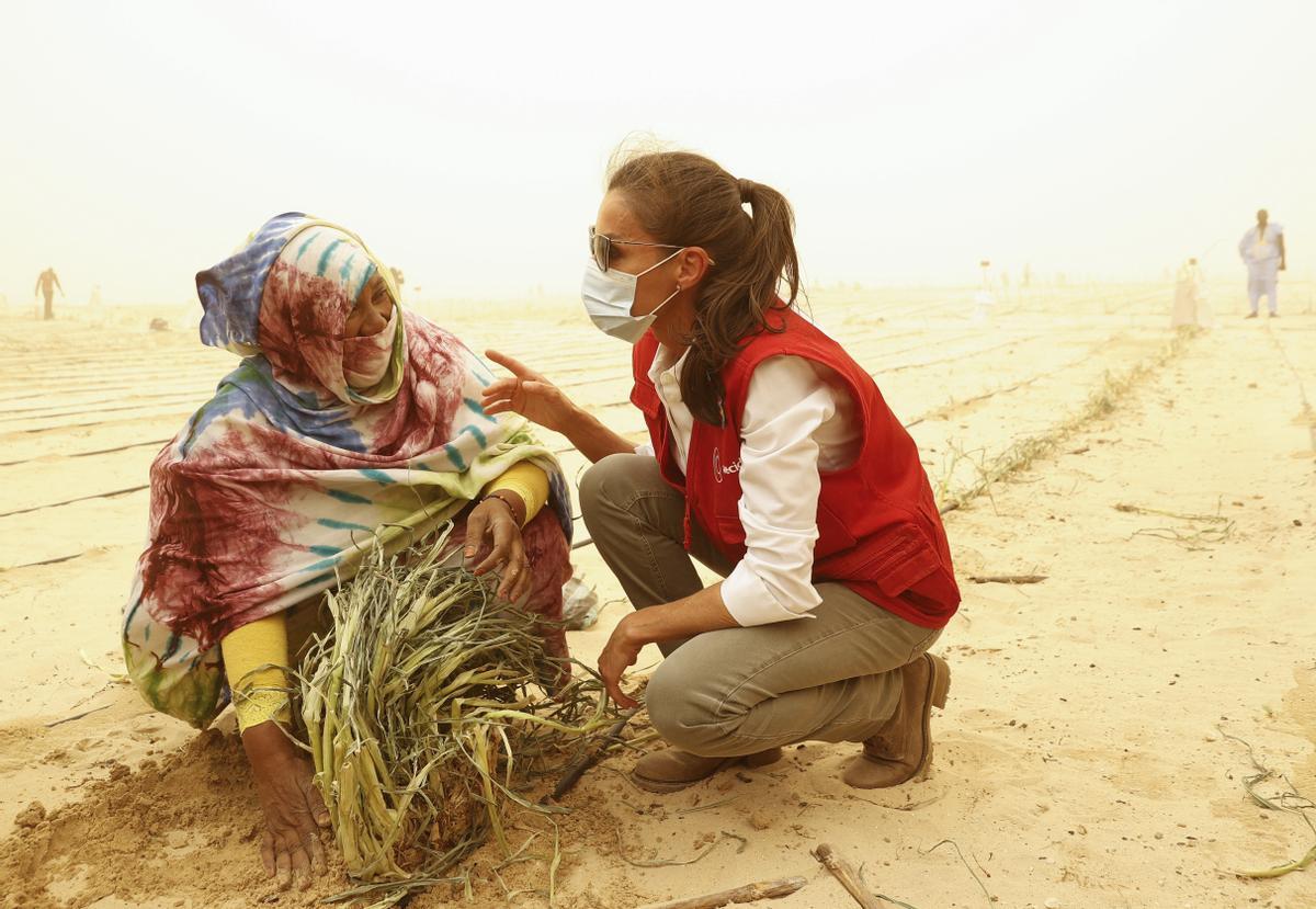 La reina Letizia visita los huertos del desierto en plena tormenta de arena