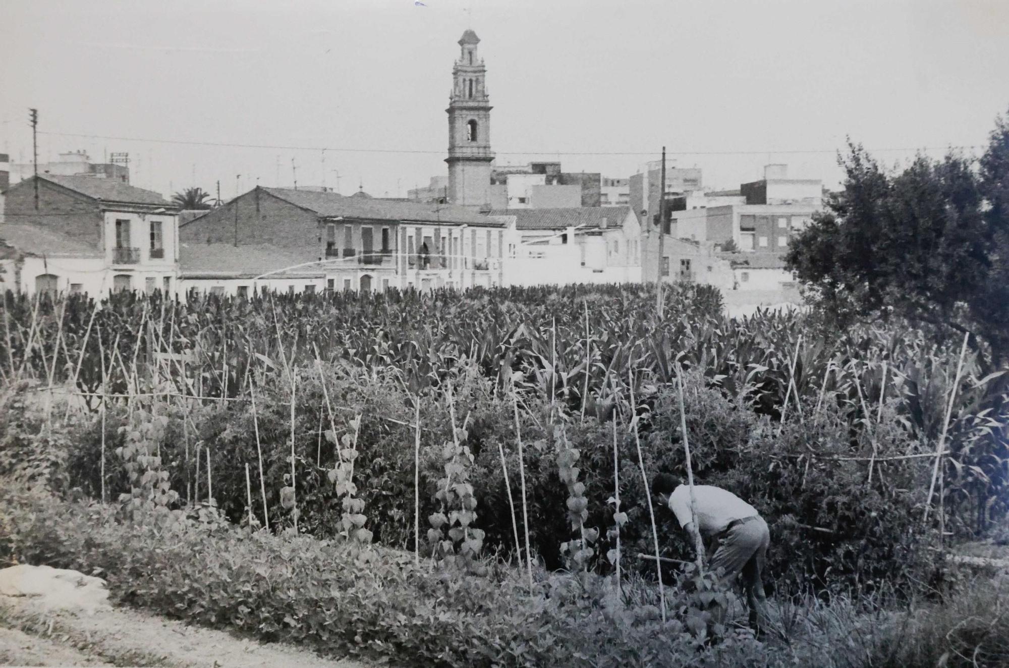 La Valencia desaparecida: Todo esto antes era huerta