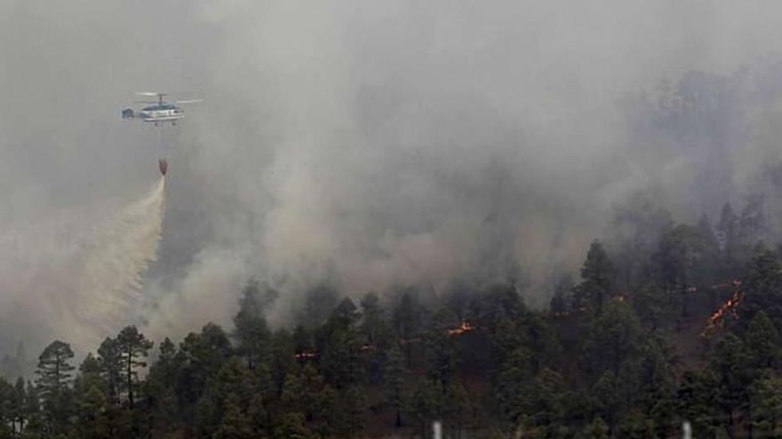 El fuego entra en el Parque Nacional del Teide