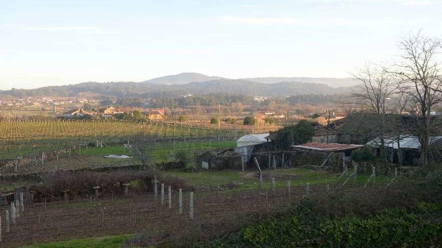 Tierras en Oubiña (Cambados) afectadas por una concentración parcelaria.