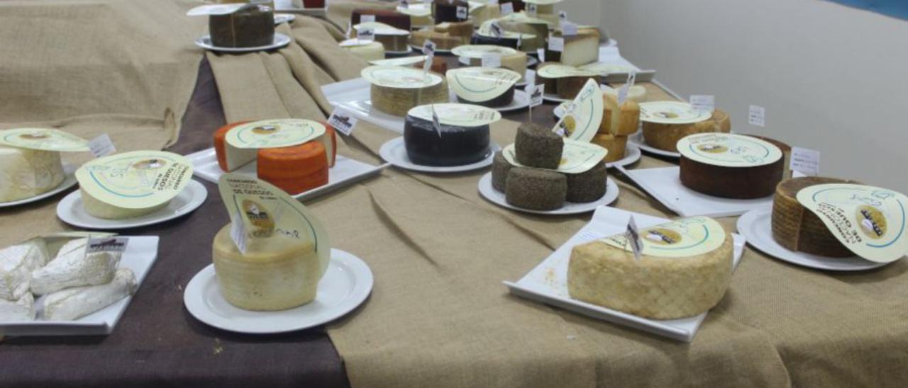 Imagen de quesos participantes en el concurso nacional Tebefe. |